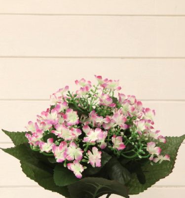 Spugna per fiori e fioristi - Vivaio Arreda Shop Online