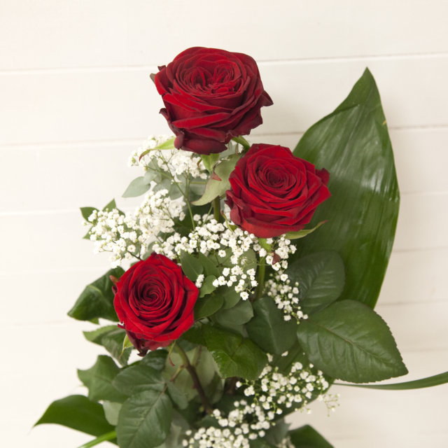 Confezione di Tre Rose Rosse Extra - Vivaio Arreda